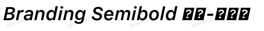 Branding Semibold 半粗字体转换 Branding Semibold 半粗字体转换